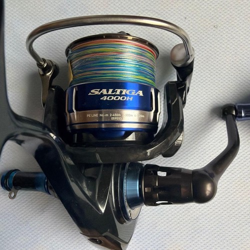 Daiwa saltiga 4000h - saltiga, salzwasser